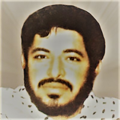 سید محمدحسین علم‌الهدی